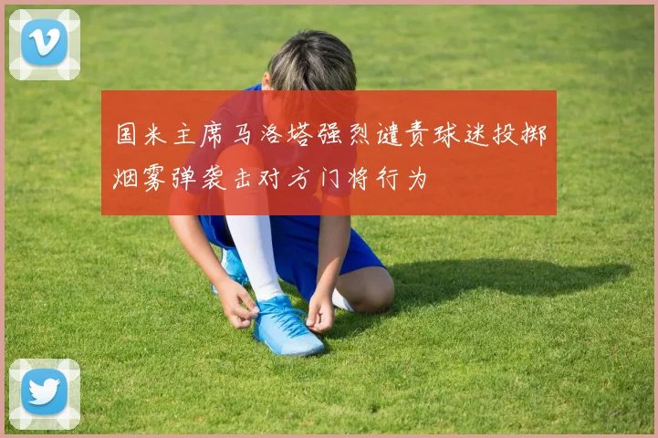 国米主席马洛塔强烈谴责球迷投掷烟雾弹袭击对方门将行为