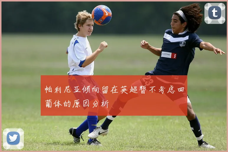 帕利尼亚倾向留在英超暂不考虑回葡体的原因分析