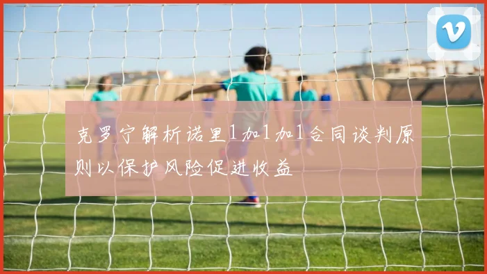 克罗宁解析诺里1加1加1合同谈判原则以保护风险促进收益